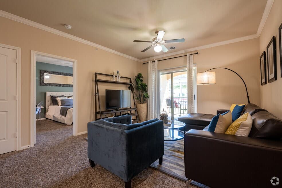 Belterra Springs — photo 4