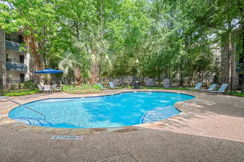 Forest View in The Woodlands, Texas