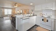 Bel Air Oaks — photo 4