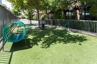 Caroline Post Oak — photo 5