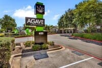 Agave at South Congress — photo 3