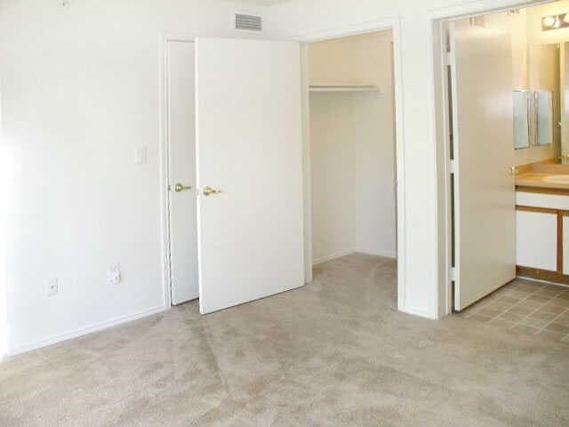 The Timbers — photo 4
