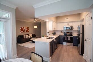 Aura at Westchase — photo 5