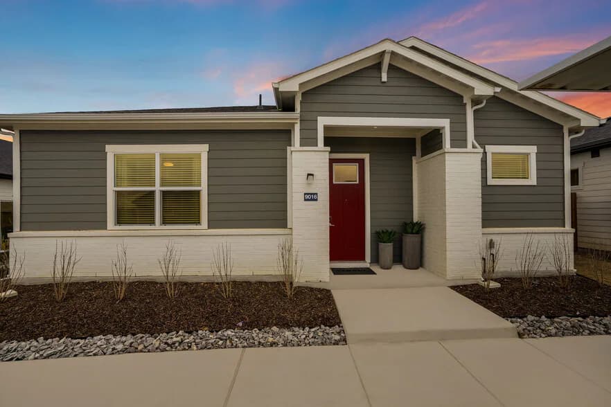 Yardly Elm in Denton, Texas
